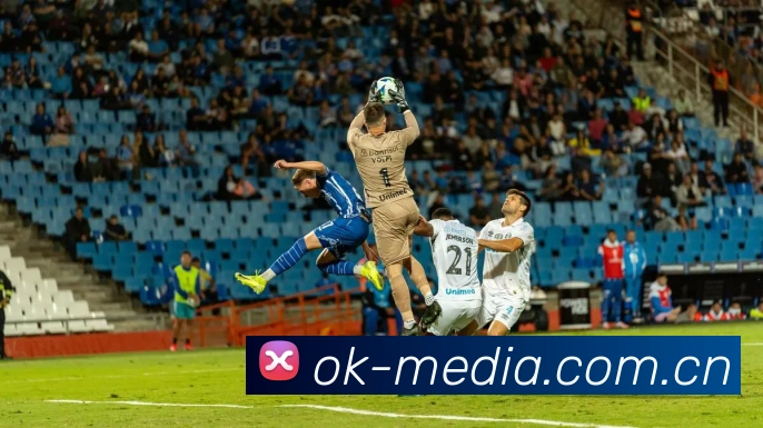 开云手机入口登录官网平台生态图